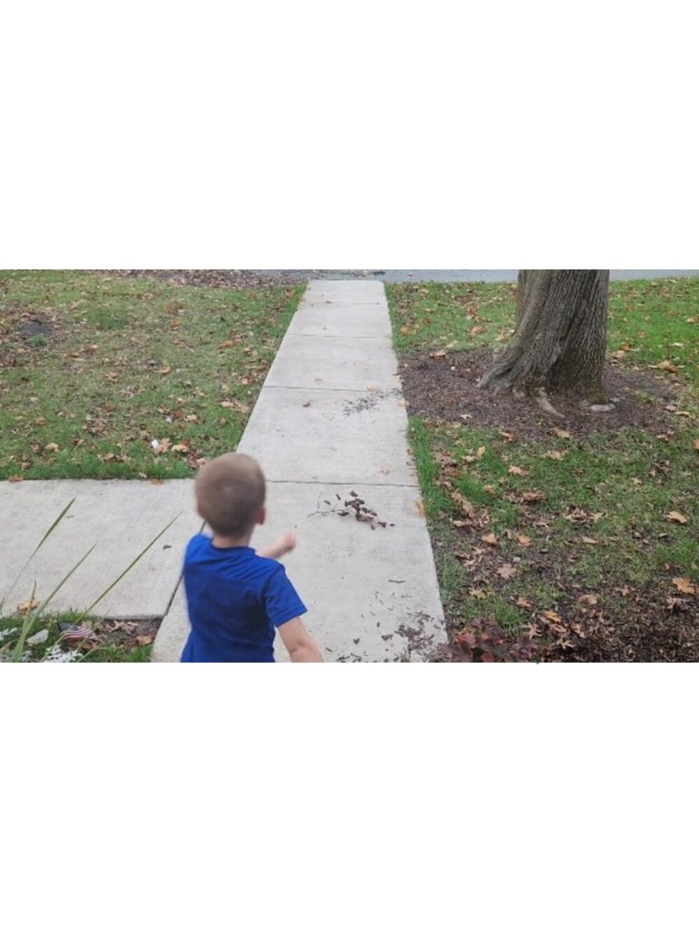 Toddler Barefoot Sneakers, Wide Toe Box, Zero-Drop, High Top, Hook & Loop - Picture 6 of 6